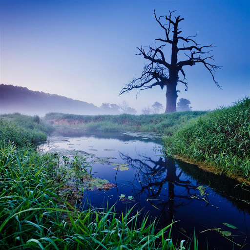 Hd-179404-ascw179404