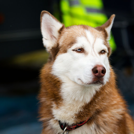 Hd-181068-ascw181068