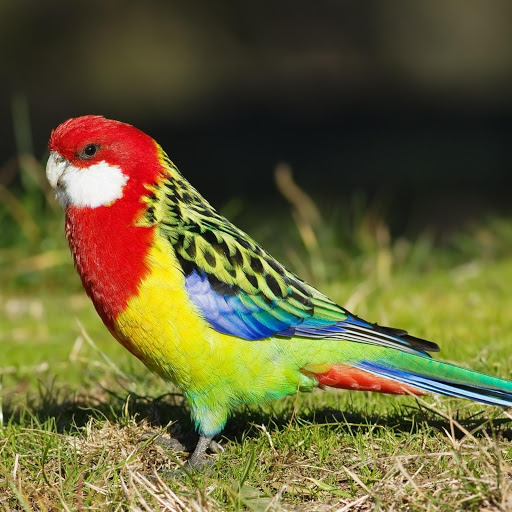 Hd-179029-ascw179029