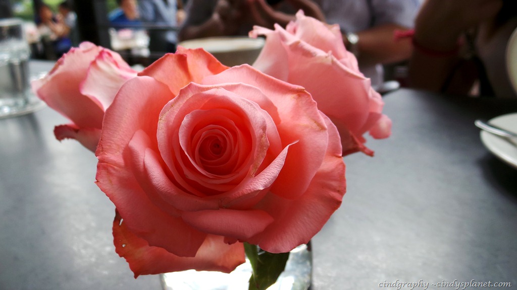 [Acme4%255B3%255D.jpg.webp]