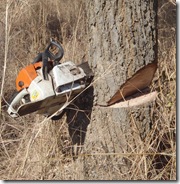 chainsaw stuck