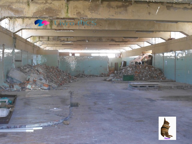 [Bolg%2520Gazeta%2520de%2520Espinho003%2520Livro%2520MCS%255B2%255D.jpg]