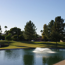 IMGP0135.JPG