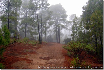 2910 Circular en Tamadaba 2910 Circular en Tamadaba