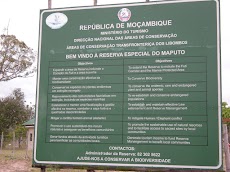 DSCN6583.JPG