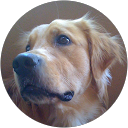 Vicente Coronado profile picture