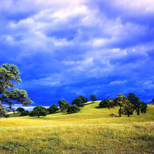 Hd-142209-ascw142209