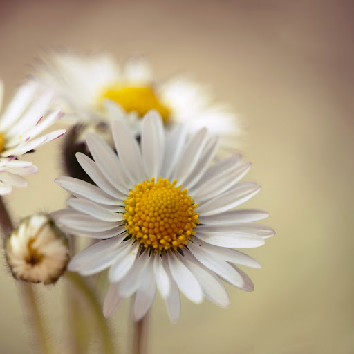 Hd-144228-ascw144228