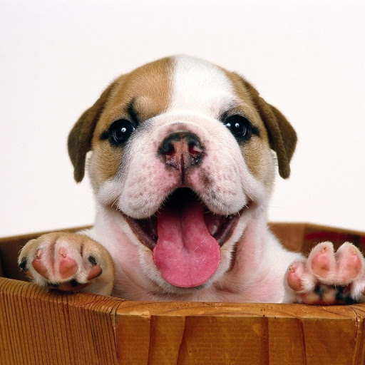 Hd-132384-ascw132384