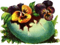 http://lh3.ggpht.com/-BbFJrPAPNy4/TRPWCgwNHJI/AAAAAAAAFBo/wNAAq__t6es/s250/pansy-egg.jpg