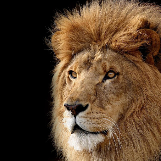 Hd-154258-ascw154258