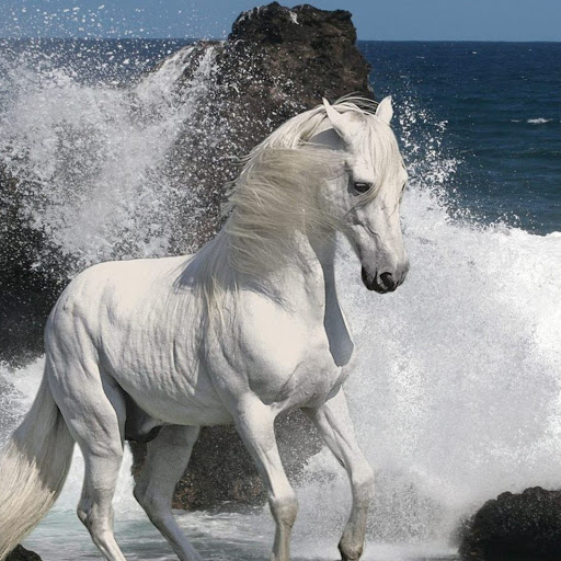 Hd-146755-ascw146755