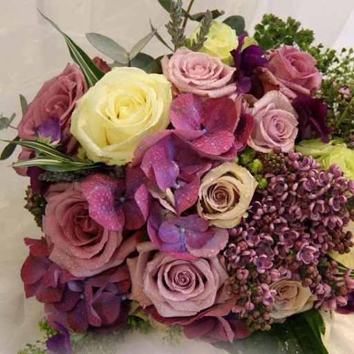 Hd-131655-ascw131655