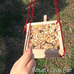 Popsicle stick bird feeder @ whatilivefor.net