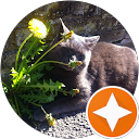Image Google de Sandrine Meugniot