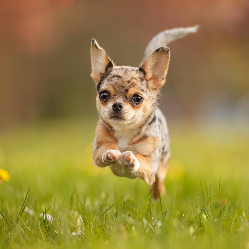 Hd-131750-ascw131750