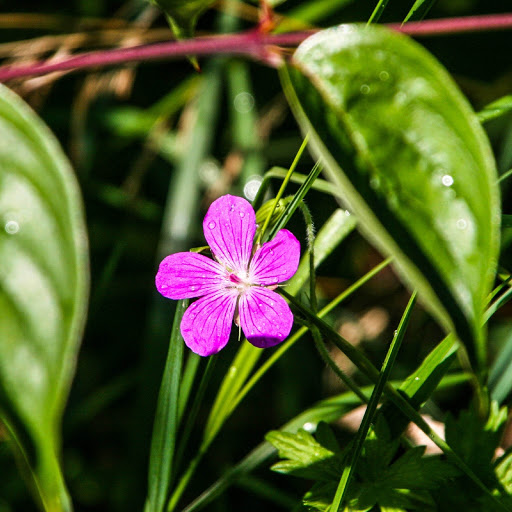 Hd-155112-ascw155112