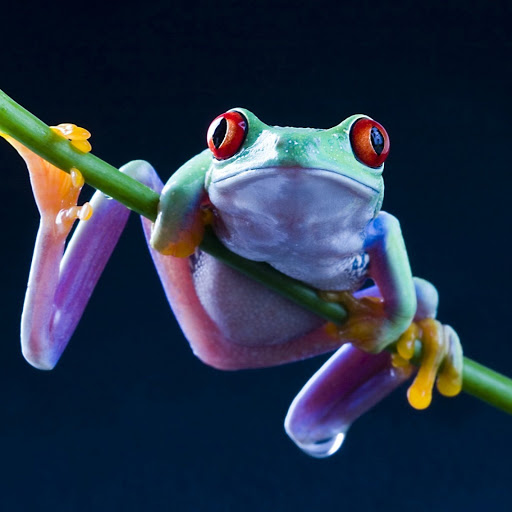 Hd-180831-ascw180831