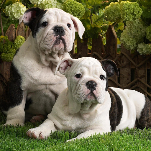 Hd-175924-ascw175924