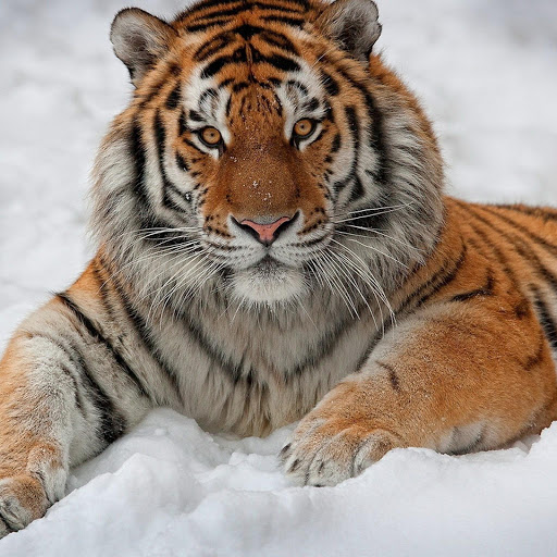 Hd-152869-ascw152869