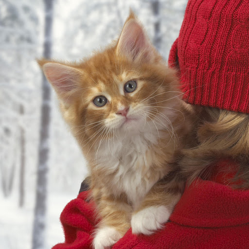 Hd-156647-ascw156647