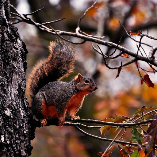 Hd-179041-ascw179041