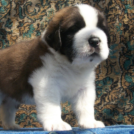 Hd-157171-ascw157171