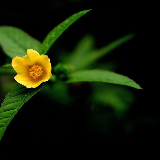 Hd-146069-ascw146069