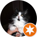 Ovillo De Lana Bosques De Noruega profile picture