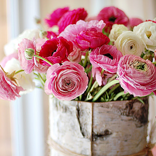 Hd-180213-ascw180213