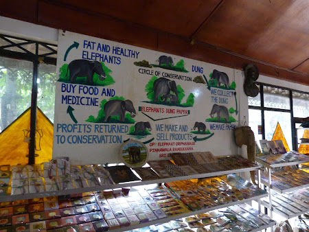 Produse de caca de elefant in Sri Lanka