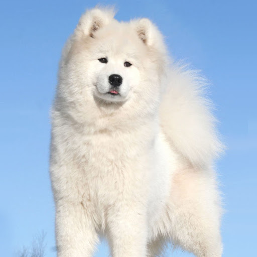 Hd-173888-ascw173888