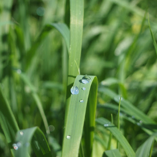 Hd-165187-ascw165187