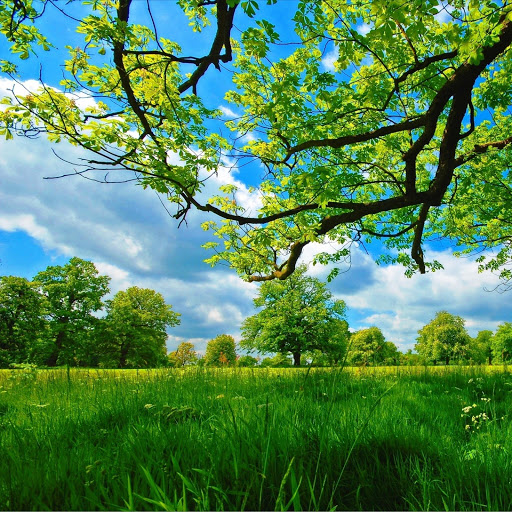 Hd-147613-ascw147613