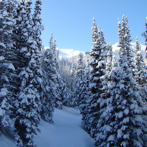 Hd-146444-ascw146444