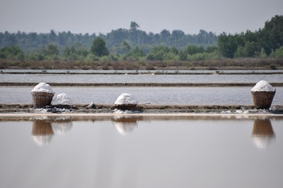 DSC_0057.JPG