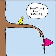 diet birds