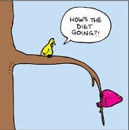 diet birds diet birds