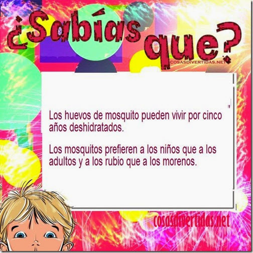 2 curiosidades cosasdivertidas net 6 4 2 curiosidades cosasdivertidas net 6 4