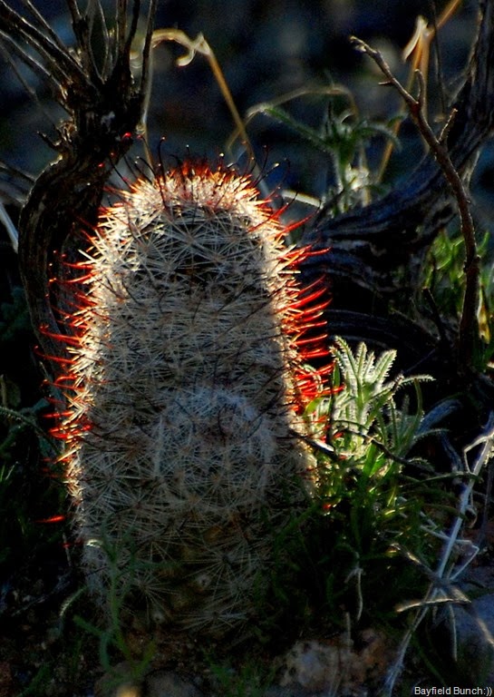 [DSC_5570%255B6%255D.jpg]