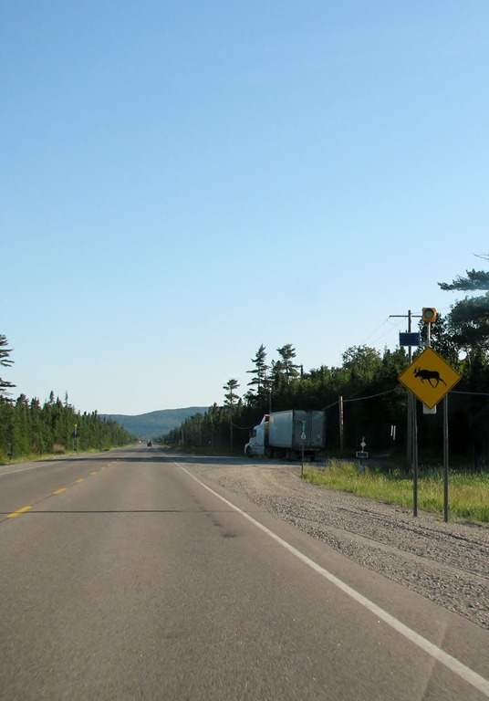 [7838%2520Ontario%2520Trans-Canada%2520Hwy%252017%2520moose%2520crossing%2520warning%2520sign%255B3%255D.jpg]