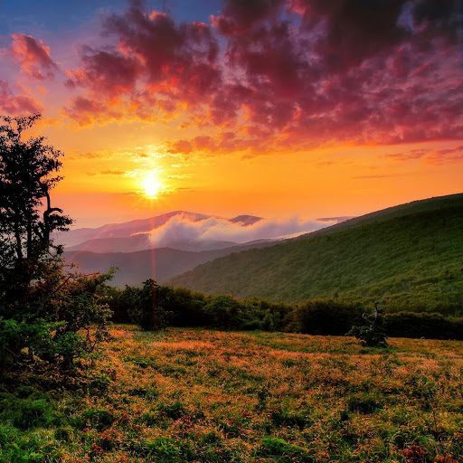 Hd-142000-ascw142000