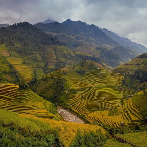 Hd-134230-ascw134230