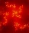 10575052_red17 10575052_red17