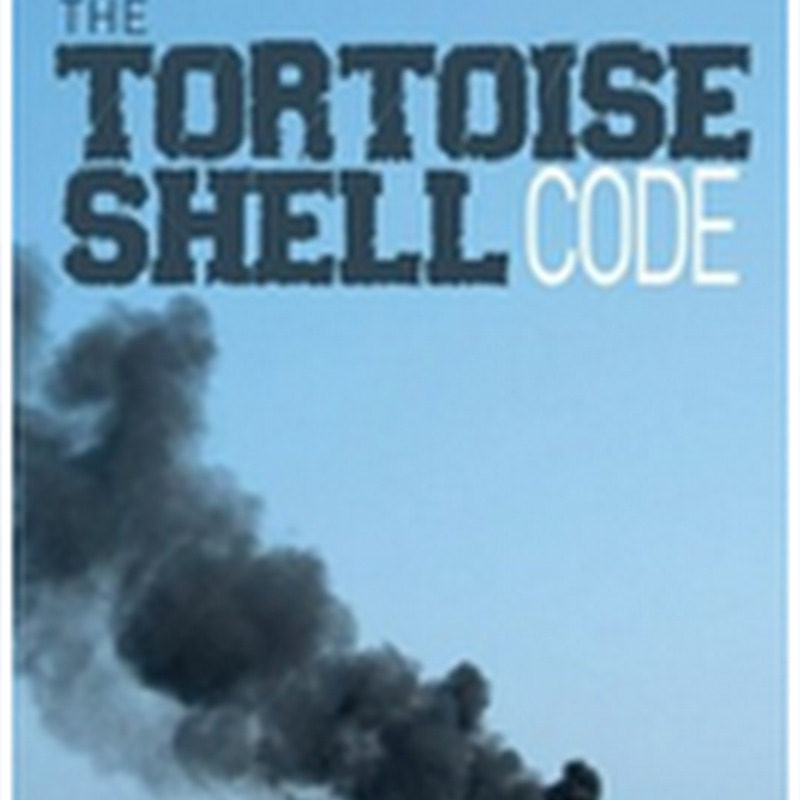 Orangeberry Book of the Day - The Tortoise Shell Code by V Frank Asaro (Excerpt)
