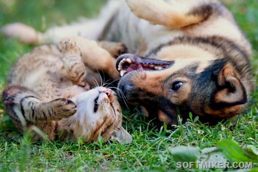 [010614_114017_86454_2%255B13%255D.jpg]