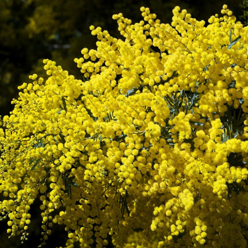 Hd-165802-ascw165802