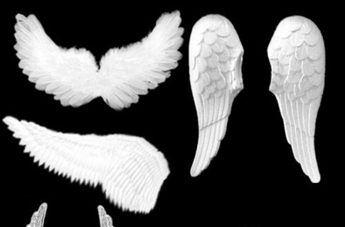 Pinceles de alas blancas de ángel