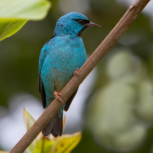 Hd-178643-ascw178643