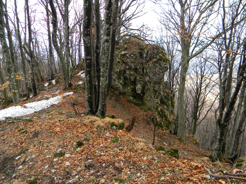 [DSCN79823.jpg]